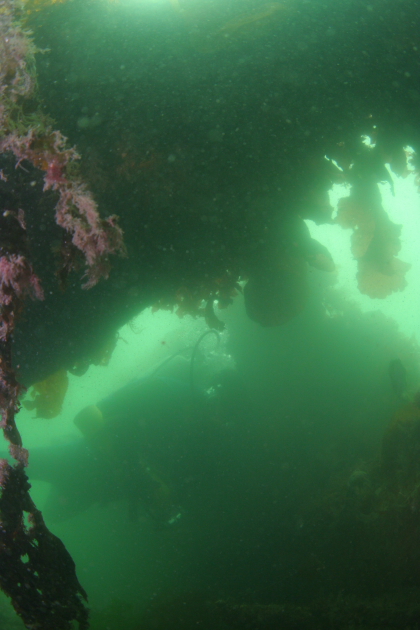 SWIMMING INTO HOLE IN SAILBOAT